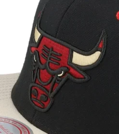 Chicago Bulls Pin Drop Black/Stone Snapback - Mitchell & Ness 11 Chicago Bulls Pin Drop Black/Stone Snapback - Mitchell & Ness -Casquettes Snapparis Boutique 196294612064 6